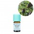 Molid Negru Organic